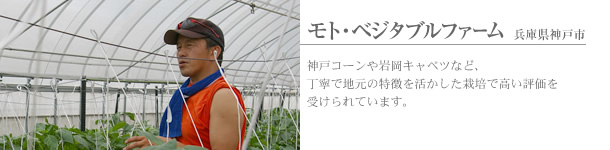 �T���t�@�[���@�_��_�ƁE����_�ƏЉ�