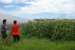 �T���t�@�[���@�_��_�ƁE����_�ƏЉ�