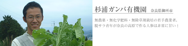 �T���t�@�[���@�_��_�ƁE����_�ƏЉ�