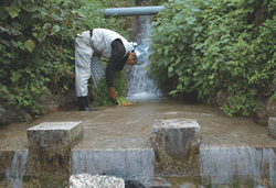 �T���t�@�[���@�_��_�ƁE����_�ƏЉ�